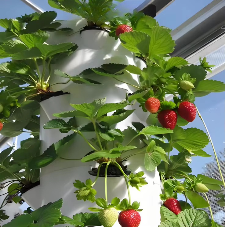 Modulair hydroponisch groeisys - Urban Farming Wall recensie en prijs